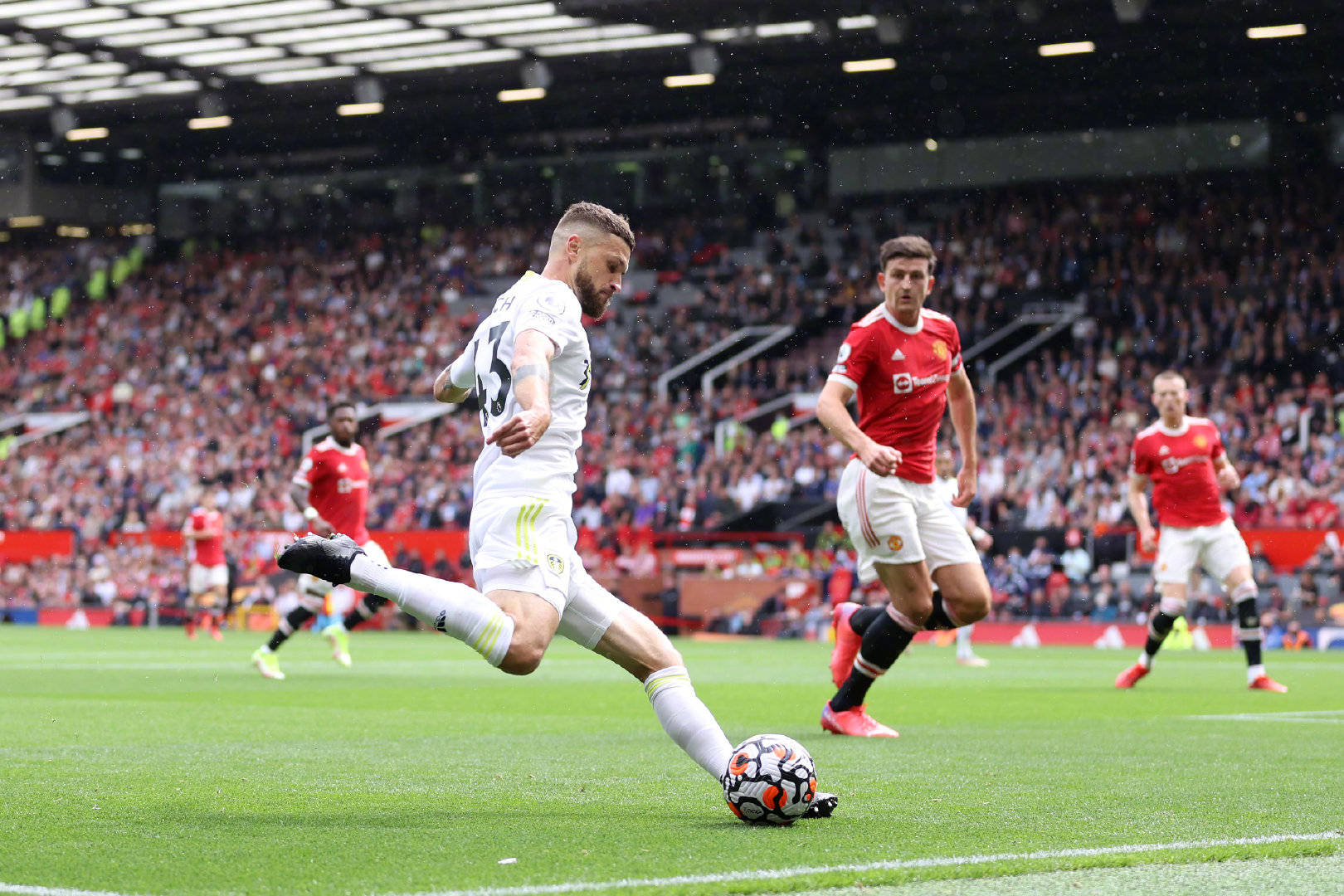 职业生涯的 职业生涯的