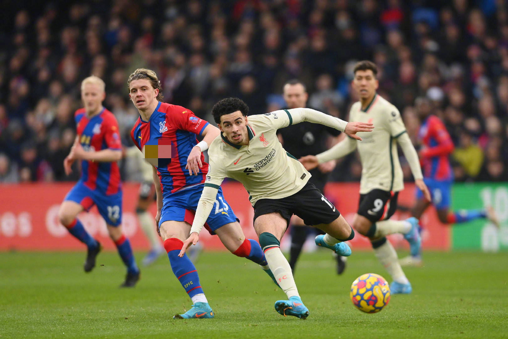 见比克马在 见比克马在